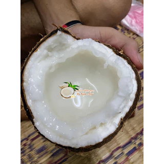 🥥ราคาดีที่สุด มะพร้าวกะทิทับสะแก มะพร้าวกะทิเนื้อฟูนุ่ม ทานอร่อย ส่งตรงจากสวนทับสะแกทุกลูก