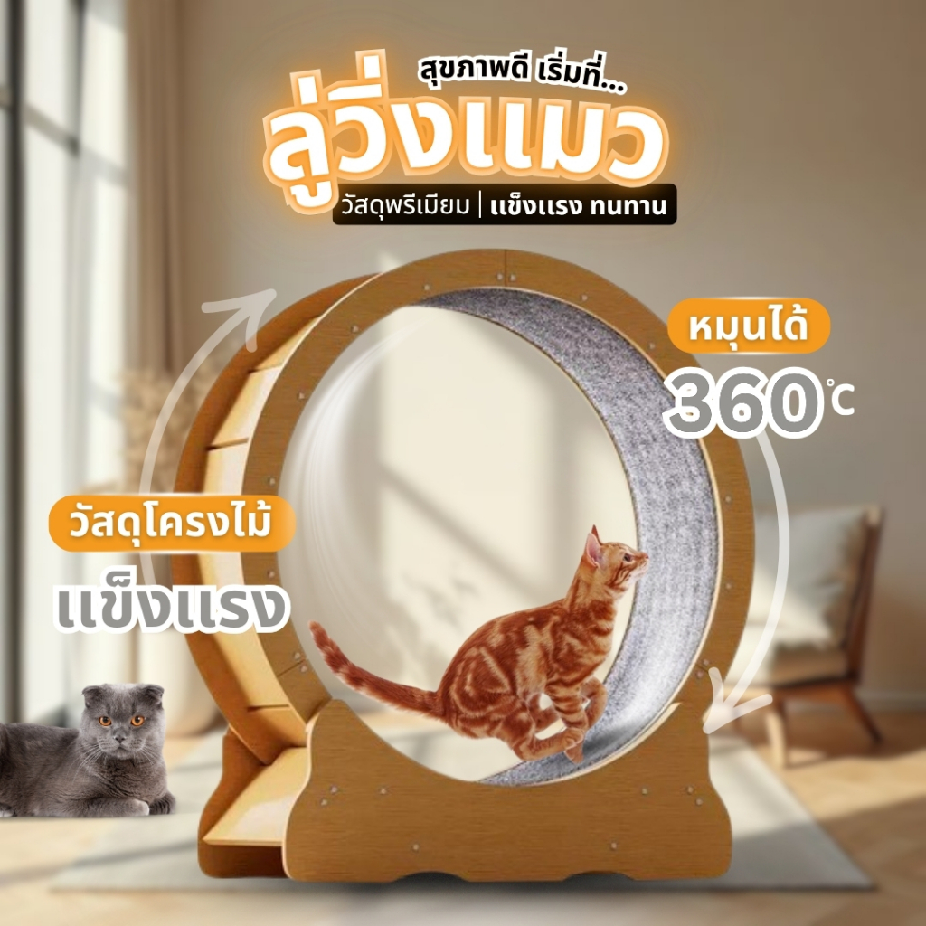 🐱[PetParadise.th]🐶 ลู่วิ่งแมว ที่ออกกำลังกายสัตว์ ล้อวิ่งแมว วงล้อแมว อัพเกรดใหม่ เสียงรบกวนเบาลง รูปที่ 8