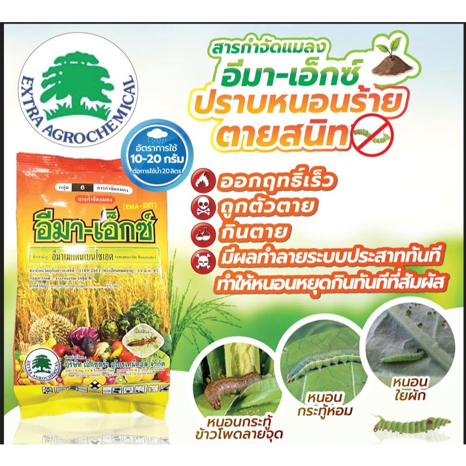 อีมาเม็กตินเบนโซเอต 5% WG  หนอนทุกชนิดตายเรียบ ฉีดพ่นร่วงให้เห็น