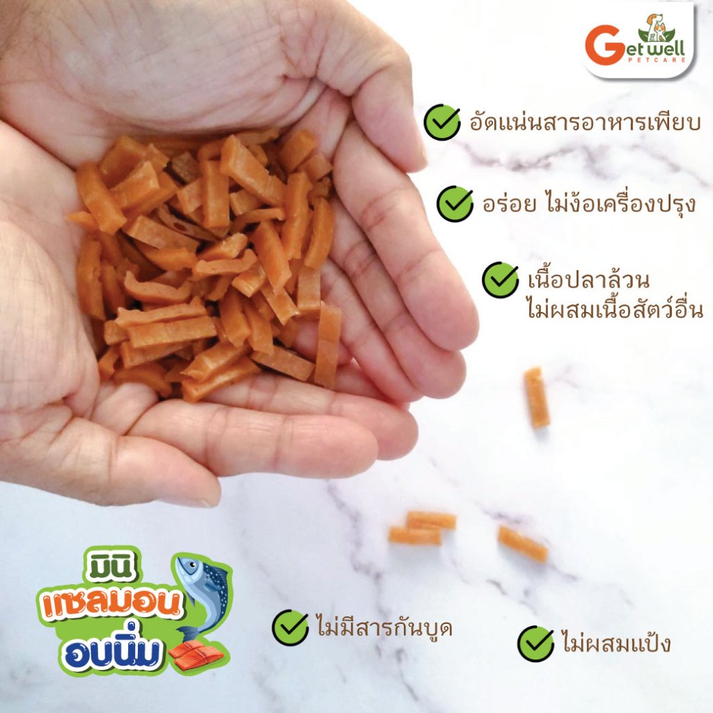 Get Well มินิ แซลมอนอบนิ่ม ขนมหมา ขนมแมว ไม่ปรุงรส แพ้ไก่ แพ้กลูเตน แพ้แป้ง กินได้ รูปที่ 4