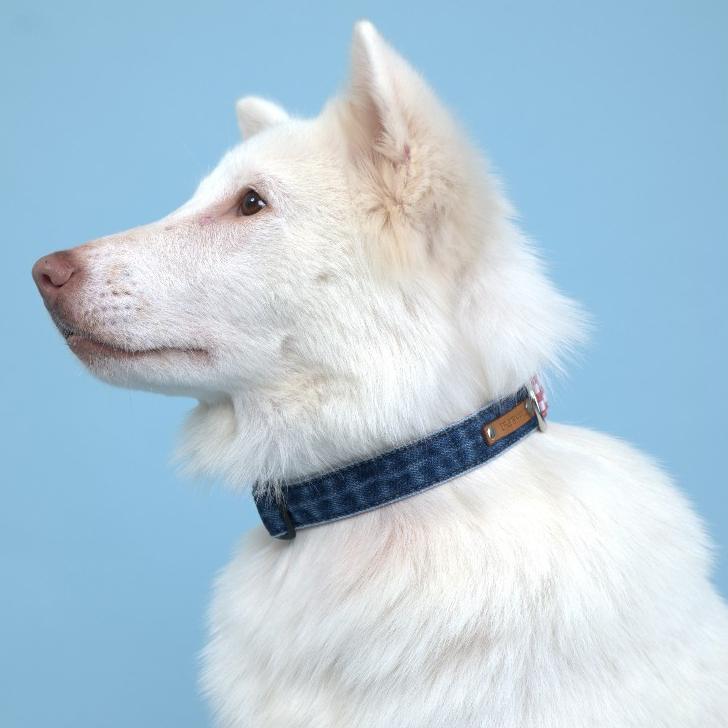 [Toto&Pal] Okayama Denim Collar | ปลอกคอสัตว์เลี้ยง รุ่นโอกายามะ เดนิม