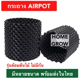 วงล้อมต้นไม้ สูง 50 เซน กระถางแอร์พอร์ต กระถางAirpot ขนาดใหญ่