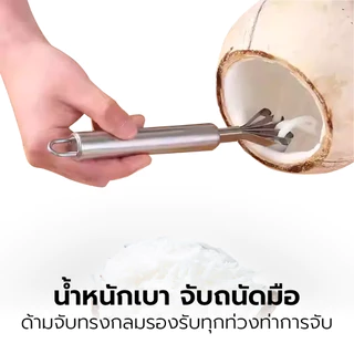 ที่ขูดมะพร้าว หัวขูดมะพร้าว อุปกรณ์ขูดมะพร้าว ที่ขูดเกล็ดปลา สแตนเลส Coconut Scooper Cheers9