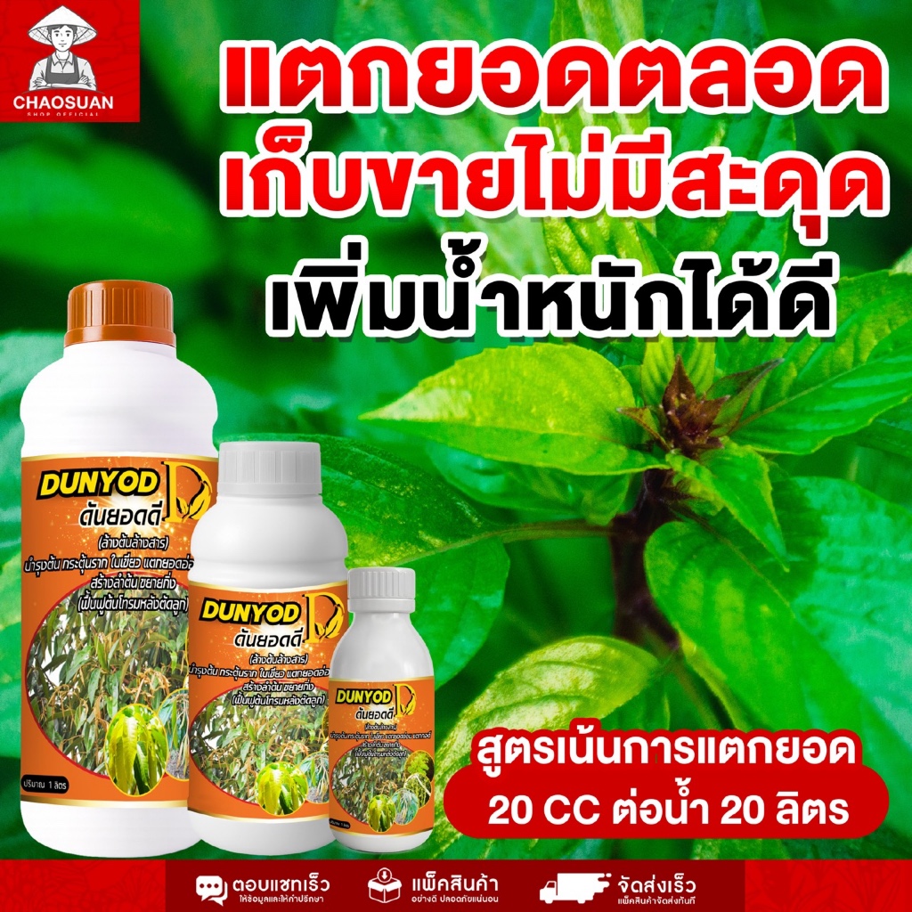 ดันยอดดี สูตรเร่งแตกยอด เพิ่มน้ำหนักพืช เก็บขายได้ต่อเนื่อง ช่วยบำรุงให้พืชแข็งแรง ใบเขียว แตกยอดไว ไม่สะดุดการเติบโต