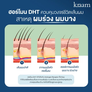 [ Set 2 ชิ้น ] Kraam Shampoo Rosemary & Ginseng Extract +Revitalizing Conditioner (Rosemary & Ginseng Extract
