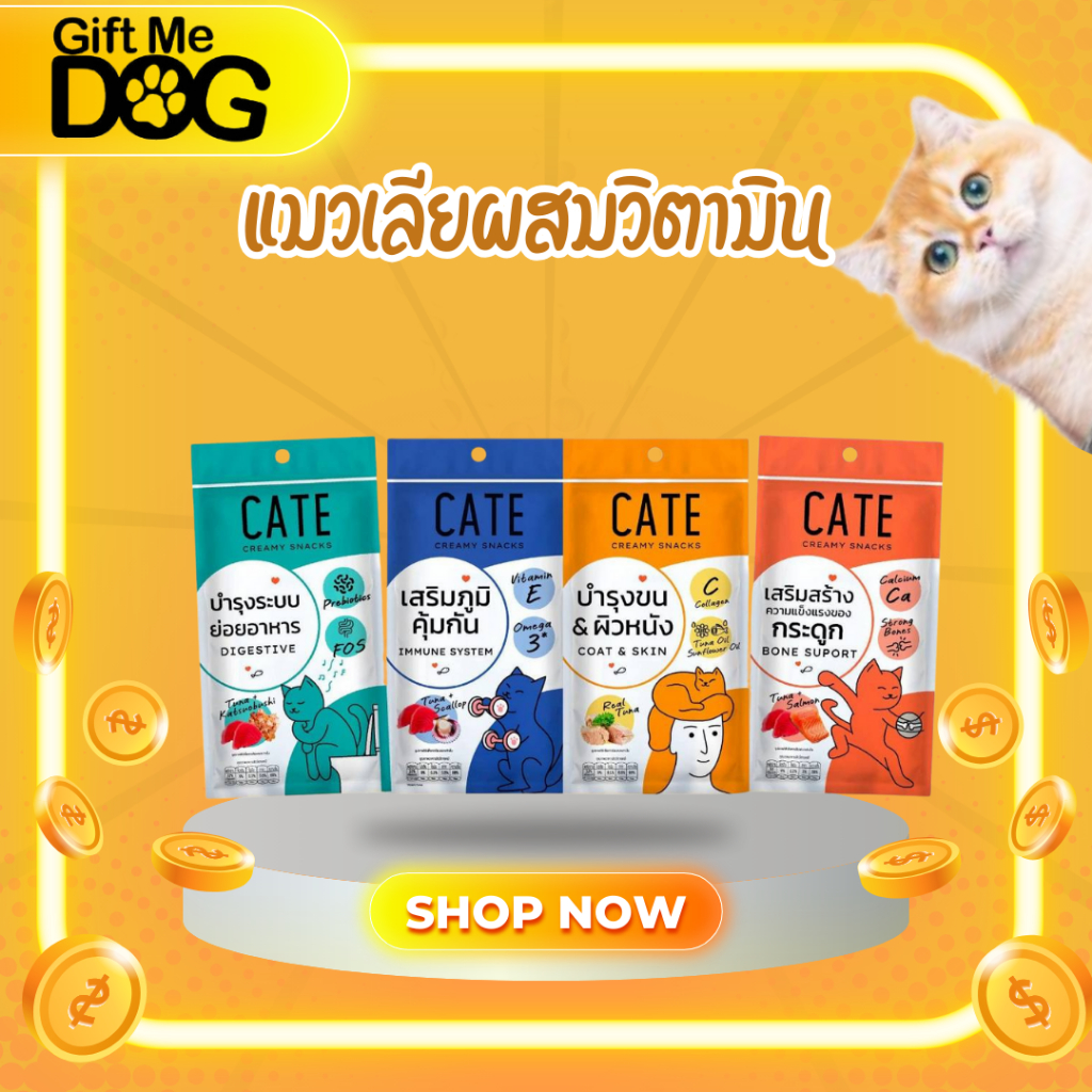 แพ็ค/4ซองCATE เคท ขนมแมวเลีย ผสมวิตามิน คอลลาเจน พรีไบโอติก ไลซีน วิตามินอี แคลเซียม ดูแลสุขภาพ