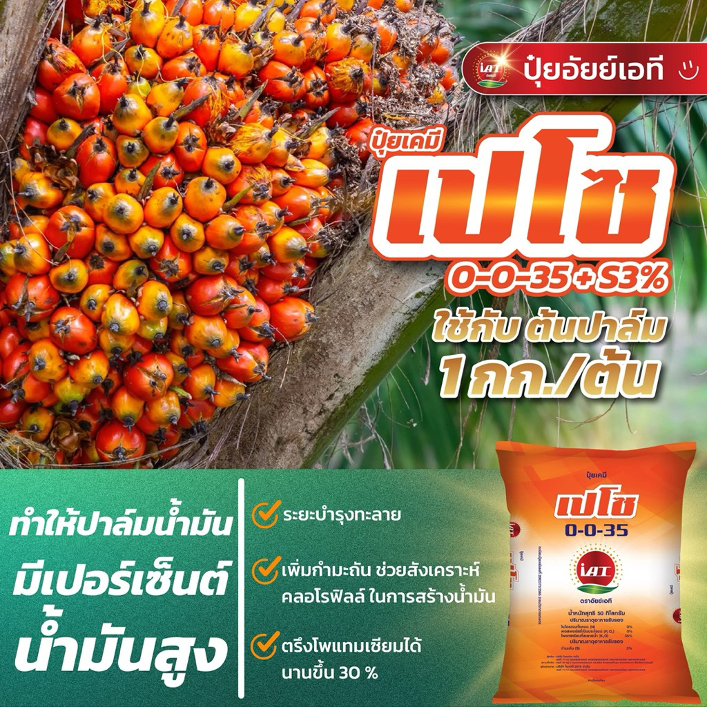 ปุ๋ยช่วยตรึงโพแทสเซียม สำหรับไม้ผล พืชไร่ ปาล์มน้ำมัน ปุ๋ยเคมี เปโซ 0-0-35 กำมะถัน 3% แบ่งขาย 2 กก และ 5 กก