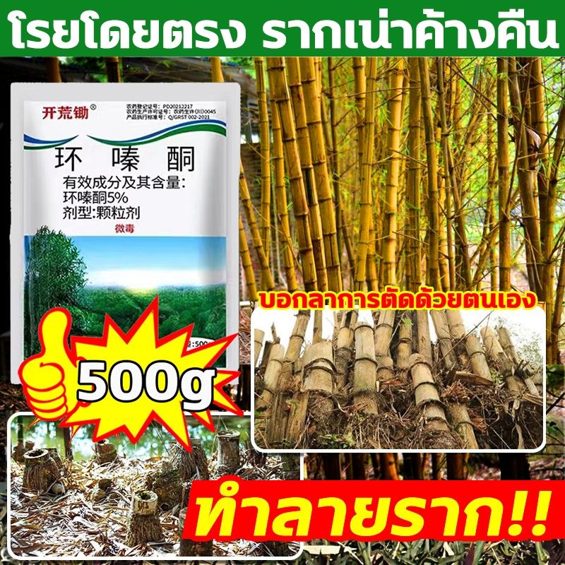 ยาฆ่าไผ่ ยาฆ่าหญ้ 500g ไม่ทำลายดิน รวดเร็ว ทนนาน ผงกำจัดต้นไม้ ผงกำจัดกอไผ่ ยาฆ่าตอไม้ ยาฆ่าไม้ไผ่ ยาฆ่าตอต้นไม้