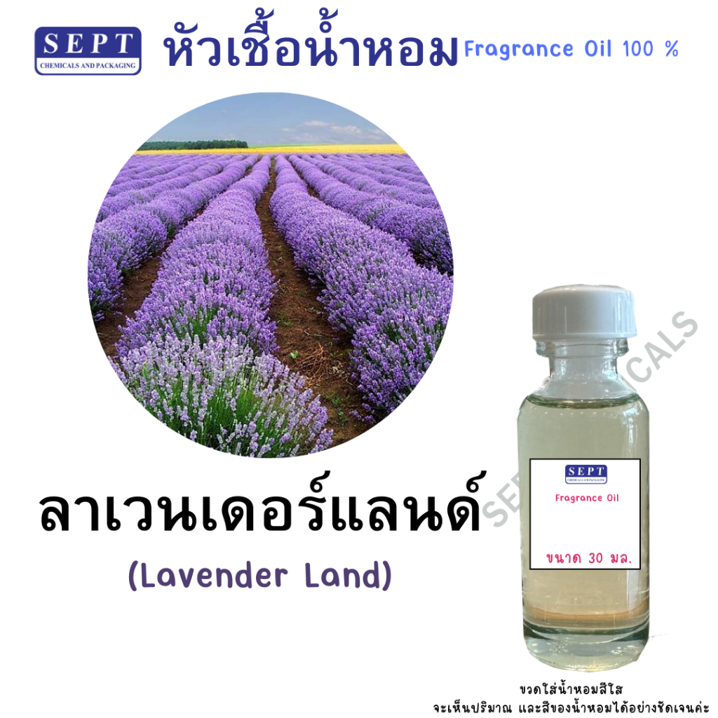หัวเชื้อน้ำหอม ลาเวนเดอร์แลนด์ Lavander land 30 มล. 60 บาท ใช้ทำสเปร์ยปรับอากาศ น้ำหอมฉีดตัว ใส่ในชุดต่างๆ ค่ะ