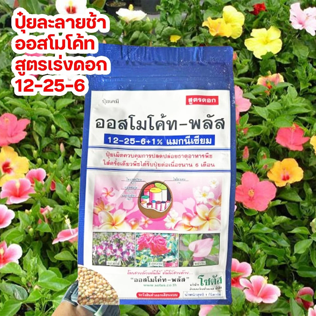 ออสโมโค้ทพลัส 12-25-6+1% สูตรเร่งดอก ขนาด 1 ก.ก.