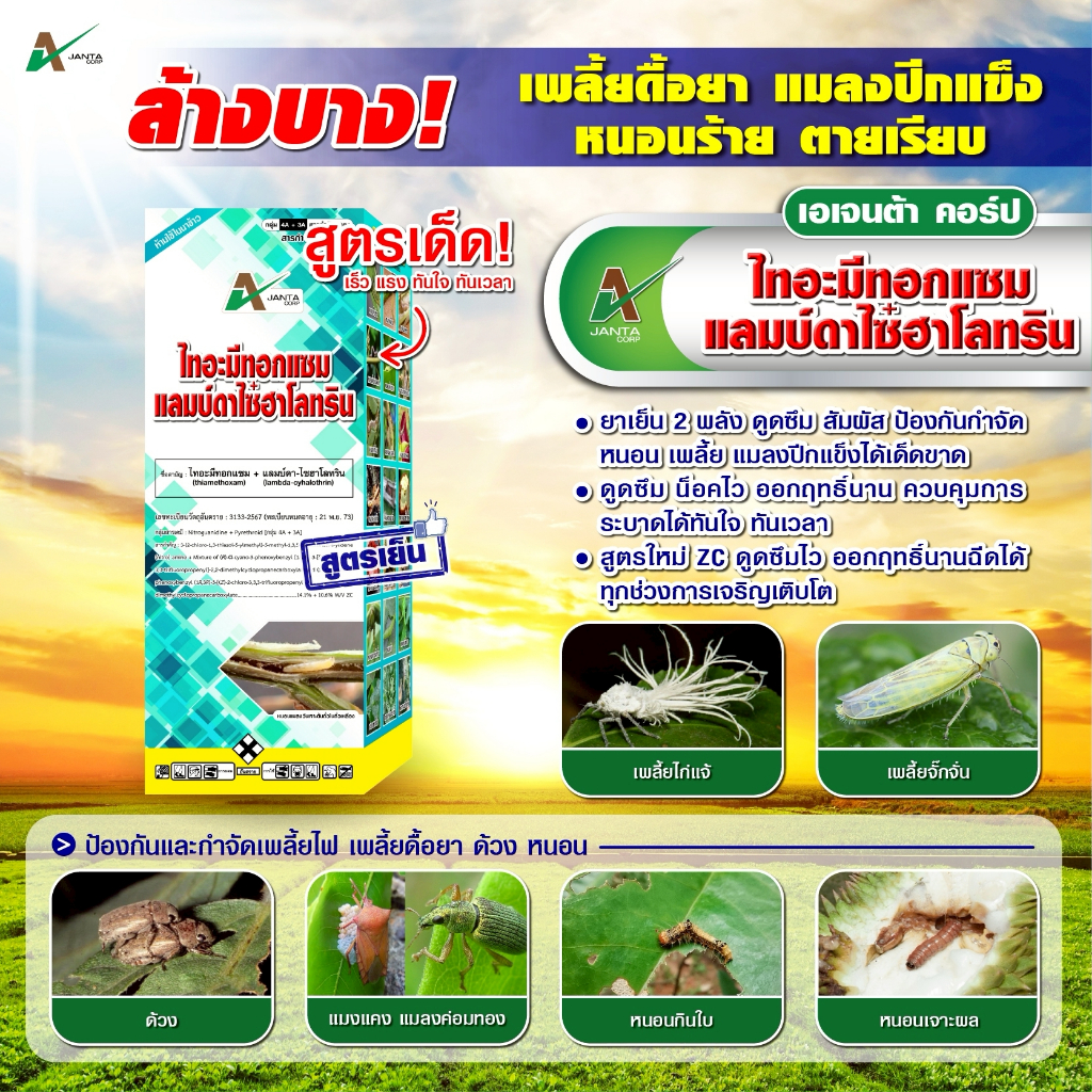 ไทอะมีทอกแซม + แลมป์ดาไซฮาโลทริน สูตรเย็น สูตรพิเศษ ZC น็อคแรง คุมนาน กำจัดเพลี้ยไฟ เพลี้ยจั๊กจั่น แมลงปีกแข็ง
