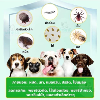 Oimmal Flea & Tick กำจัด เห็บ หมัด เหา พยาธิ พยาธิตัวตืด พยาธิแส้ม้า ไข่แมลงวัน รวมถึงปรสิตอื่นๆ