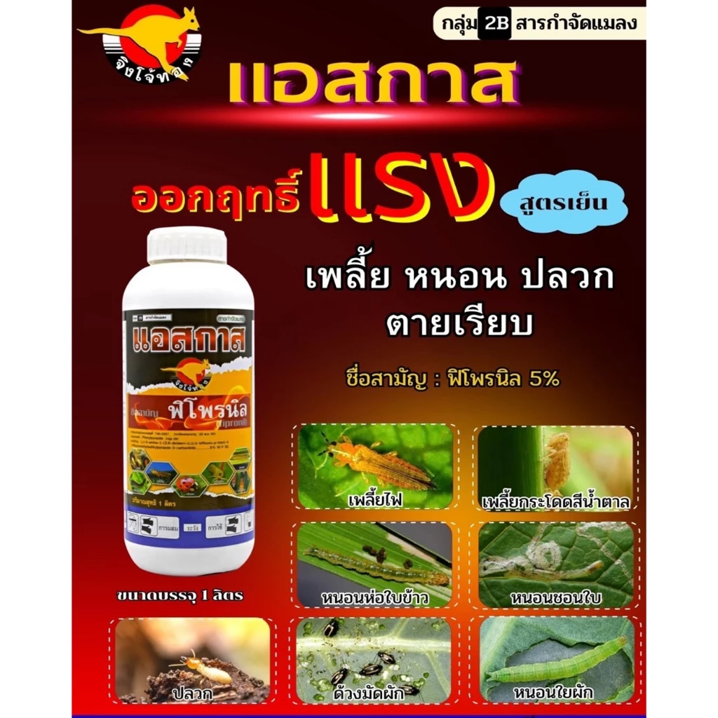 แอสกาส พิโพรนิล (จิงโจ้) ขนาด 1 ลิตร กำจัดหนอน เพลี้ย ปลวก แมลงเต่าทอง พิโพลนิล พิโพนิล แอสกาด พิโพรนิลยกลัง