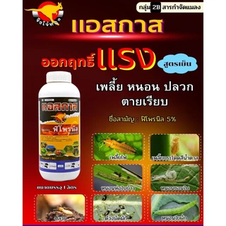 แอสกาส พิโพรนิล (จิงโจ้) ขนาด 1 ลิตร กำจัดหนอน เพลี้ย ปลวก แมลงเต่าทอง พิโพลนิล พิโพนิล แอสกาด พิโพรนิลยกลัง
