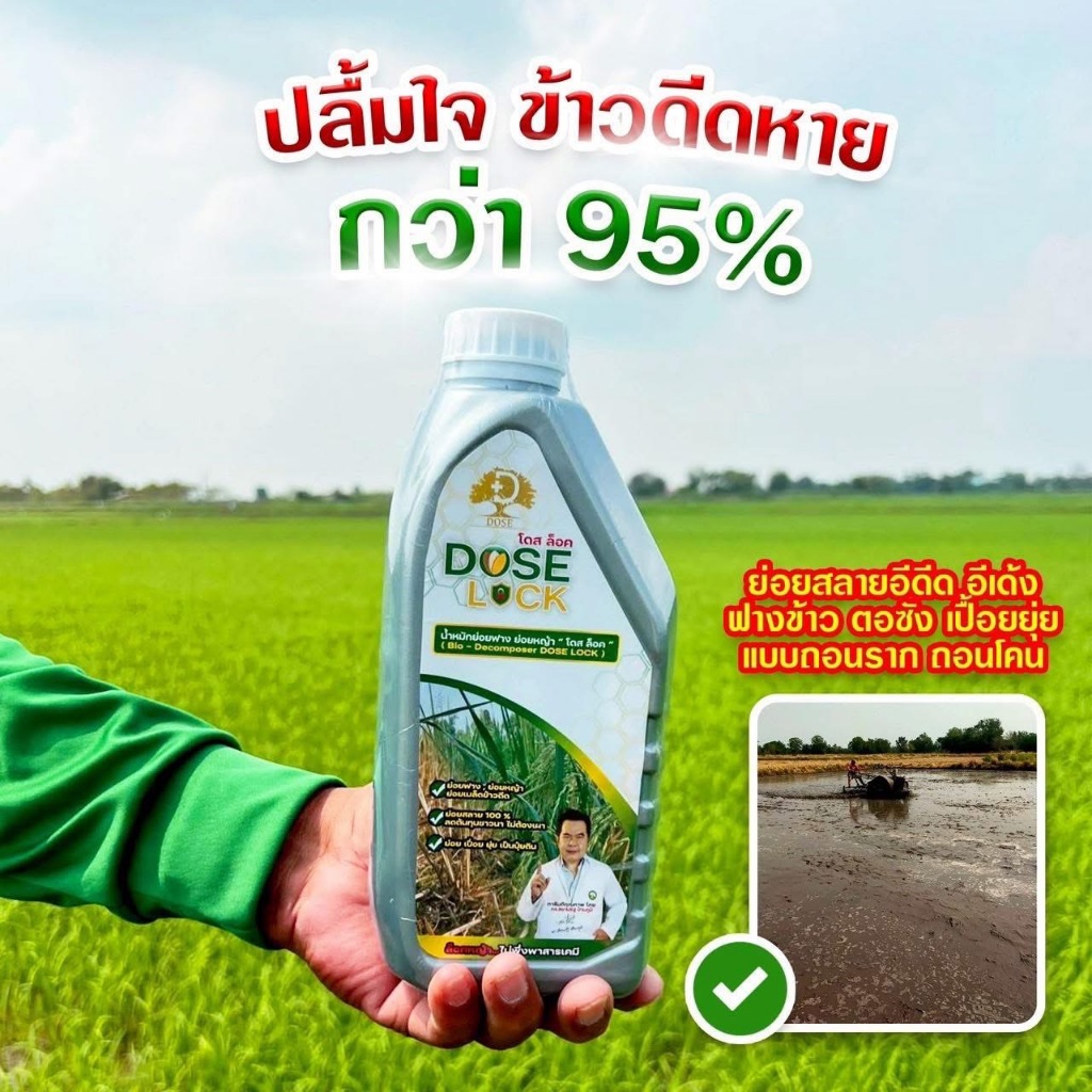 Dose Lock โดสล็อคช่วยลดข้าวดีด ข้าวเด้ง และย่อยสลายฟาง ตอซัง