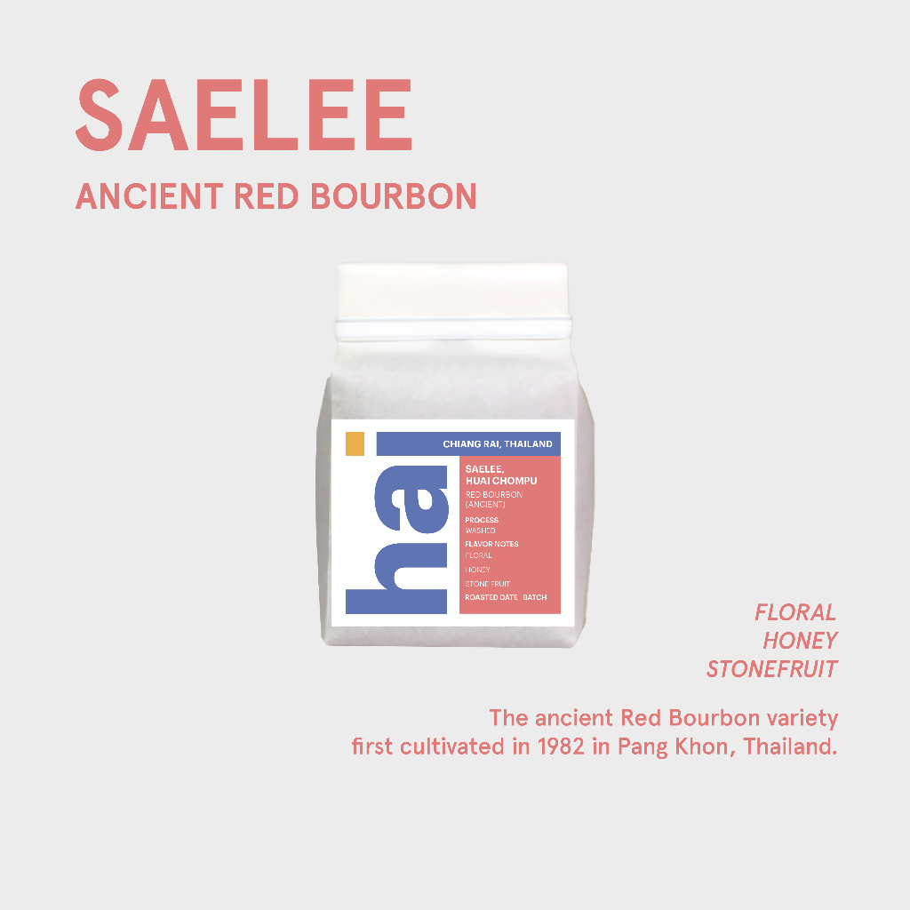 Hai single origin (กาแฟคั่วอ่อน) Saelee, Huai Chompoo, Red Bourbon (Light roast) Washed Process