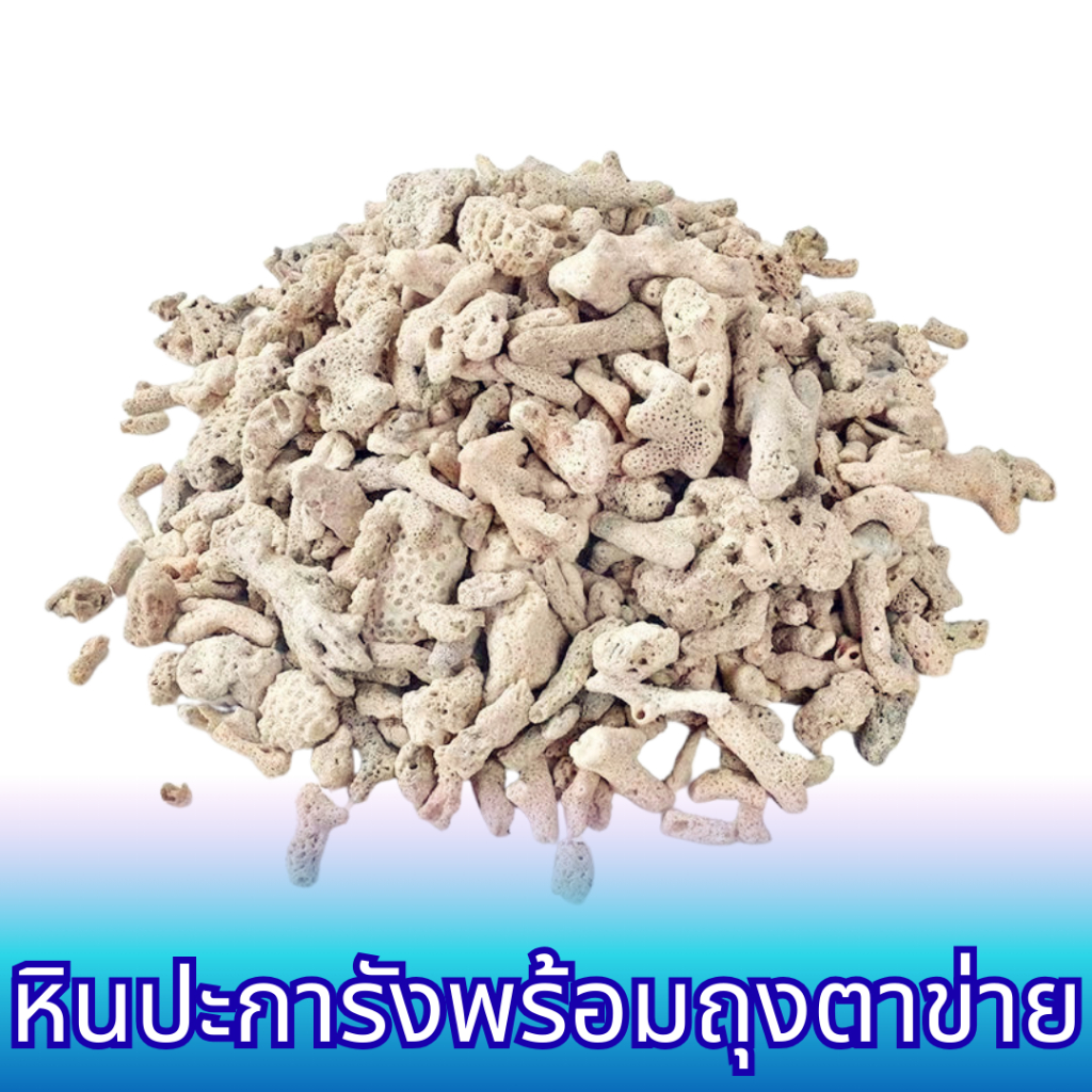 ปะการัง กรองน้ำ หินตู้ปลา วัสดุกรองน้ำตู้ปลาทะเล ตู้ปลาน้ำจืด พร้อมถุงตาข่ายใส่ ราคาถูก ส่งเร็วจากไทย