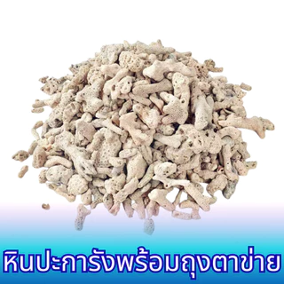 ปะการัง กรองน้ำ หินตู้ปลา วัสดุกรองน้ำตู้ปลาทะเล ตู้ปลาน้ำจืด พร้อมถุงตาข่ายใส่ ราคาถูก ส่งเร็วจากไทย