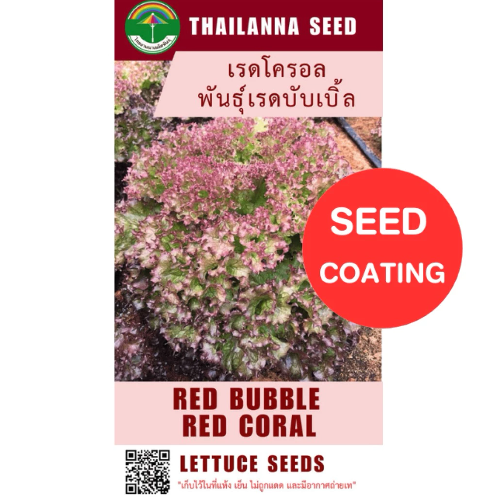 เมล็ดพันธุ์ผักสลัด เรดโครอล พันธุ์เรดบับเบิ้ล ( ขนาด 0.5 กรัม ) ( เมล็ดเคลือบ ) รหัสสินค้า SSC 1013
