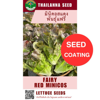 เมล็ดพันธุ์ผักสลัด มินิคอสแดง พันธุ์แฟรี่ ( ขนาด 0.5 กรัม ) …