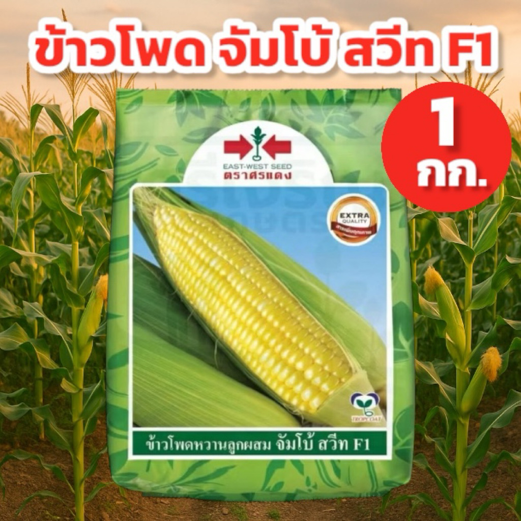 ข้าวโพดหวาน จัมโบ้สวีท 1 กิโลกรัม  ศรแดง
