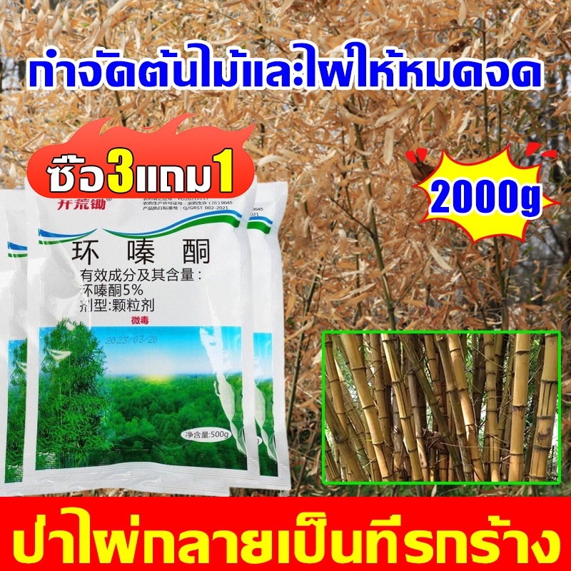 [ซื้อ 3 แถม 1]ยาฆ่าไม้ไผ่ 500g รากเน่ารากไม่ขึ้นอีก ยาฆ่าไผ่ ตรงไปที่ราก ตายยันรากได้ผล100% ยาฆ่าต้นไม้ใหญ สารกำจัดกอไผ่
