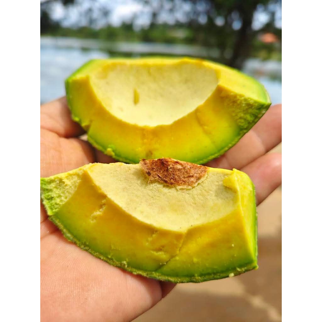 อะโวคาโด🥑 บูท7  เนื้อเนียนละเอียด มันเนย ขนาด 2 kg