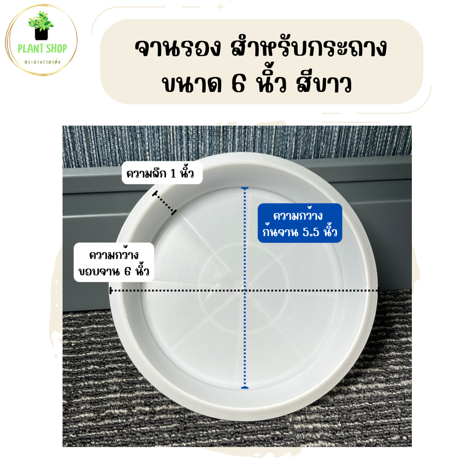 จานรองกระถาง สำหรับกระถาง ขนาด  6 นิ้ว สีขาว และสีดำ รุ่นขอบเรียบ ไม่มีลาย