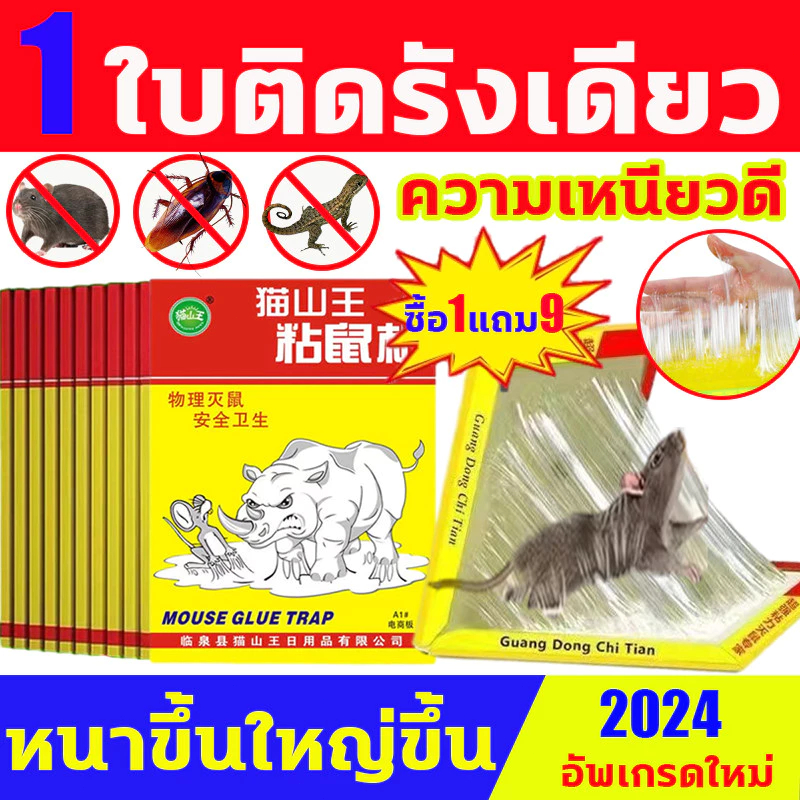 ง่ายต่อการใช้ กาวดักหนู ปลอดสารพิษและปลอดภัย กาวหนูมือ กาวดักหนูถาด กาวนำเข้าจากเยอรมัน กาวดักหนู ไม่มีกลิ่น