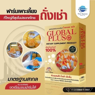 🌿 ผลิตภัณฑ์เสริมอาหาร เห็ดถั่งเช่า โกลบอล พลัส (Global Plus) ลิขสิทธิ์แท้ หนึ่งเดียวในโลก บรรจุ 30 แคปซูล
