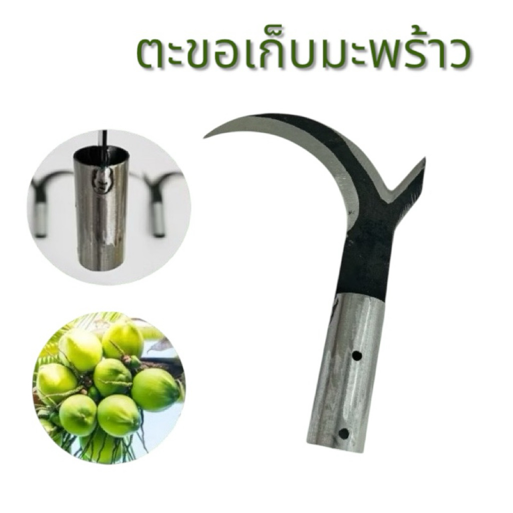 (🌟พร้อมส่ง)ตะขอเก็บมะพร้าว ตัดแต่งกิ่งไม้  ตัดแต่งกิ่งอ่อน อุปกรณ์ทำสวน