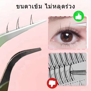 Dreehalo แหนบขนตาปลอม แหนบสเตนเลส ปลอดภัย แหนบขนตาแม่นยํา หนบคีบ แหนบขนตา F179