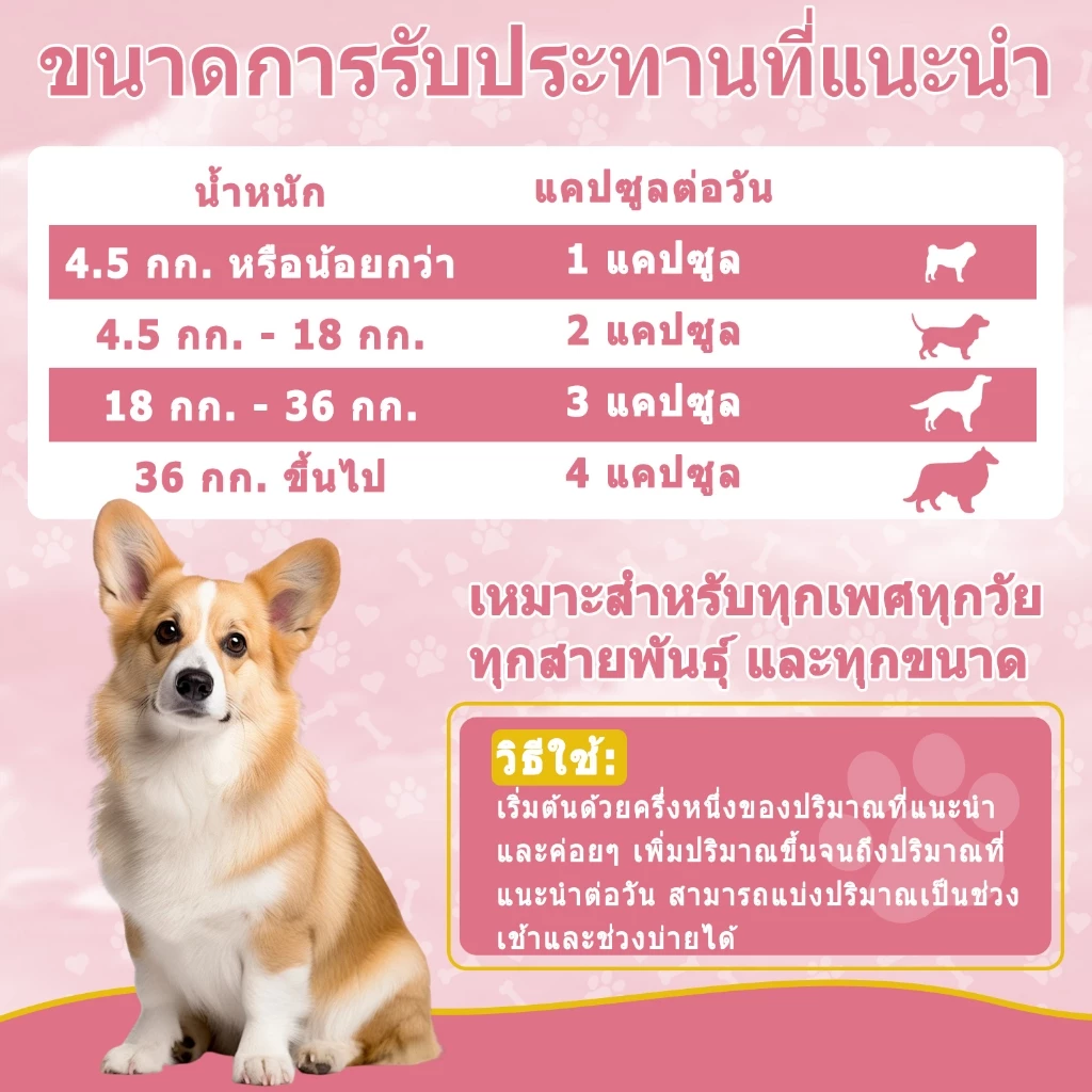 Popoo Omega 3 Fish Oil for Dogs น้ํามันปลา บำรุงผิวหนังและขน  สำหรับสุนัขแลทุกวัย วิตามินหมา 120 แคปซูล thumbnail 9