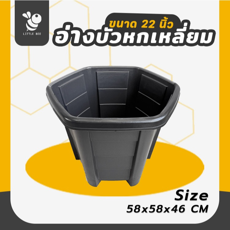 อ่างบัว กระถางไม้น้ำ ขนาด 22 นิ้ว ขนาดใหญ่ ปลูกไม้น้ำ เลี้ยงปลาได้