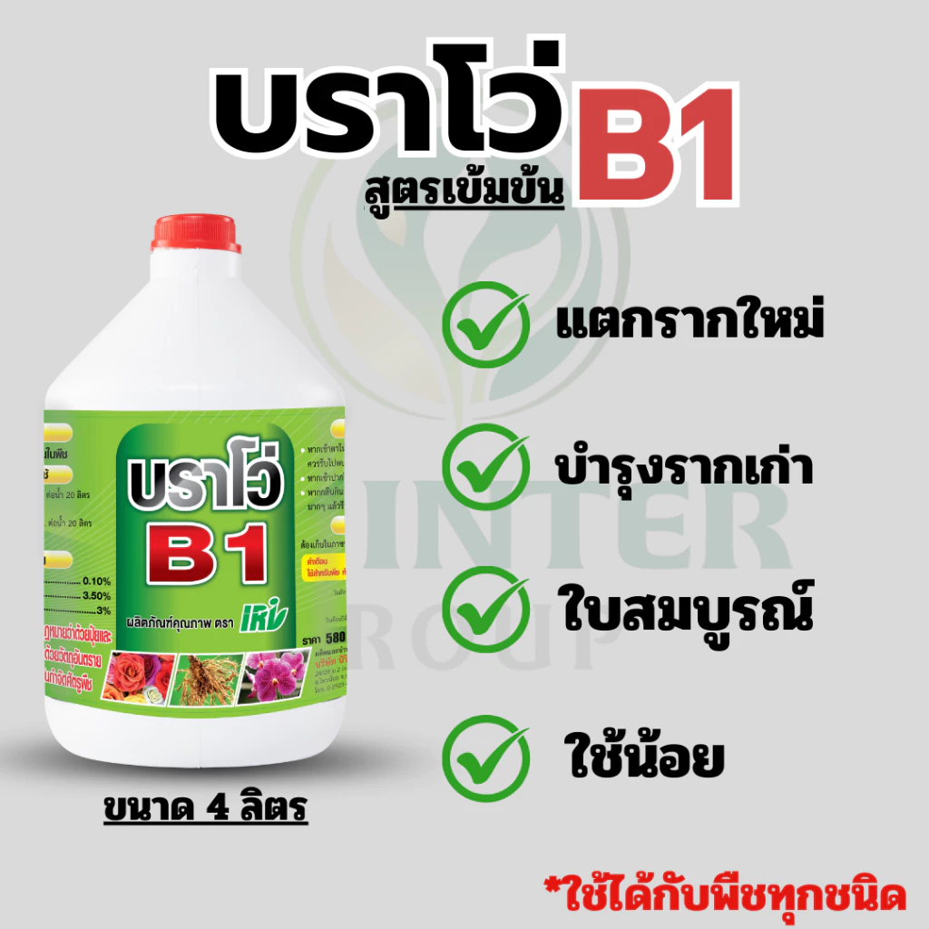 สารเสริมราก บราโว่บี1 ช่วยให้รากแตกใหม่ รากเยอะ ต้นสมบูรณ์ เพาะเมล็ด สำหรับต้นใหญ่ สูตรใช้น้อย สุดคุ้ม ขนาด 4 ลิตร.