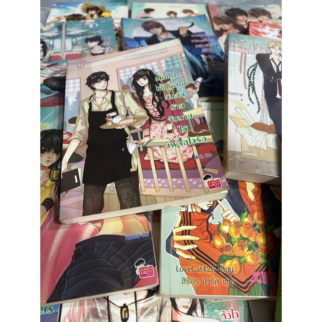 หนังสือมือสอง นิยายแจ่มใส คละสภาพ - รูปที่ 2