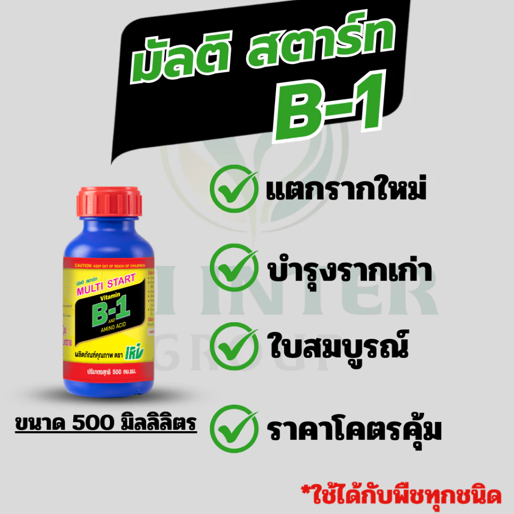 สารเสริมราก มัลติ สตาร์ทB1 ช่วยในการแตกรากใหม่ รากเยอะ ต้นสมบูรณ์ เพาะเมล็ด ราคาถูกสุดๆ 500 cc.