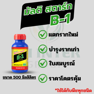 สารเสริมราก มัลติ สตาร์ทB1 ช่วยในการแตกรากใหม่ รากเยอะ ต้นสมบูรณ์ เพาะเมล็ด ราคาถูกสุดๆ 500 cc.