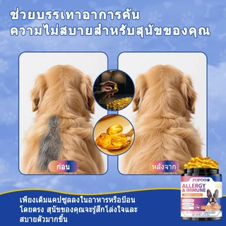 Popoo แพ็คสุดคุ้ม 2สูตร Probiotics สุนัข และ Allergy & Immune for Dogs ขนมสุนัข ช่วยระบบทางเดินอาหารและเสริมภูมิคุ้มกัน