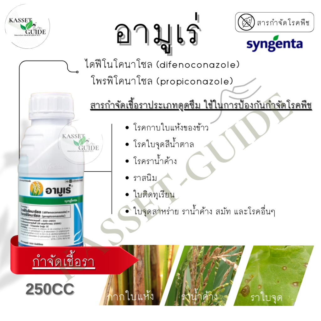 อามูเร่ 250cc (ไดฟีโนโคนาโซล + โพรพิโคนาโซล) ป้องกันกำจัด โรคกาบใบแห้งของข้าว โรคใบจุดสีน้ำตาล จาก เชื้อรา ปุ๋ยยา