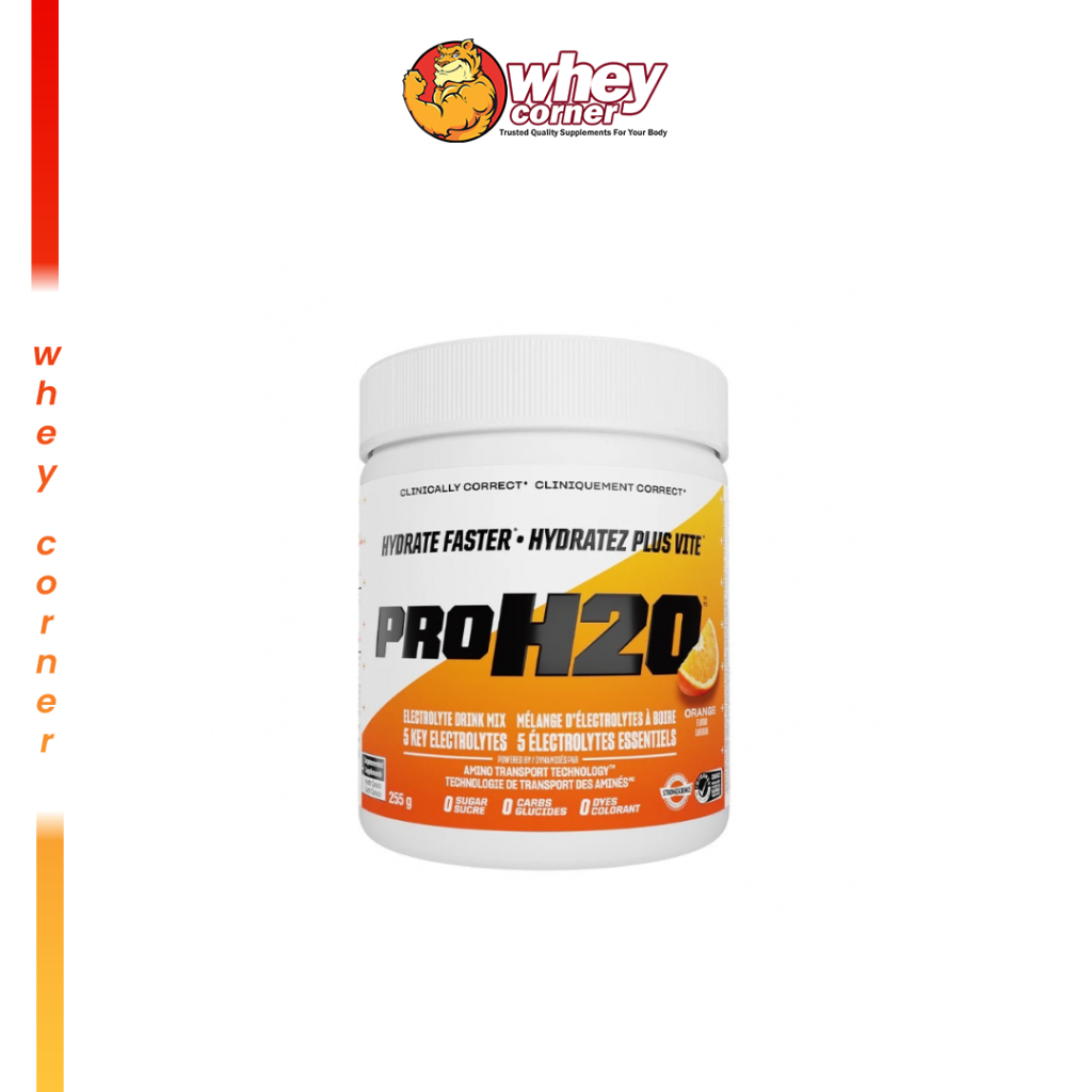 PVL PRO H2O 255 g. กรดอะมิโน BCAA + ELECTROLYTE + เกลือแร่