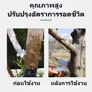 เทปพันกิ่งไม้ เทปพันกิ่งทาบ เทปพันตา หน้ากว้าง 3,4,5 ซม หนา ทนทาน คุณภาพดี ส่งของทุกวัน ส่งของจากประเทศไทย