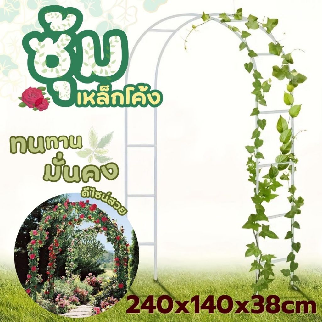 กุหลาบ ซุ้มกุหลาบ ซุ้มดอกไม้ ไม้เลื้อย ซุ้มลูกโป่ง ซุ้มกาแฟ ซุ้มงานแต่ง ซุ้ม ซุ้มประตู ซุ้มโค้ง