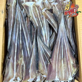 กระเบนคัด ตัวใหญ่ เนื้อสวยมาก ขนาด 500 กรัม