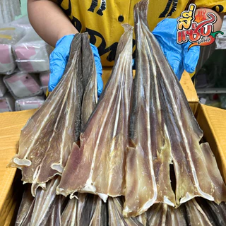 กระเบนคัด ตัวใหญ่ เนื้อสวยมาก ขนาด 500 กรัม