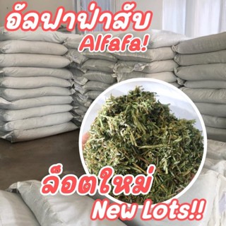 อัลฟาฟ่าสับ แบบกระสอบ5KG สำหรับกระต่ายและสัตว์ฟันแทะ