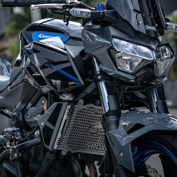 การ์ดหม้อน้ำ IRON สำหรับ KAWASAKI Z400 - Z400SE