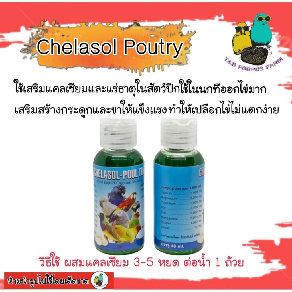 ชุดสุดคุ้ม 