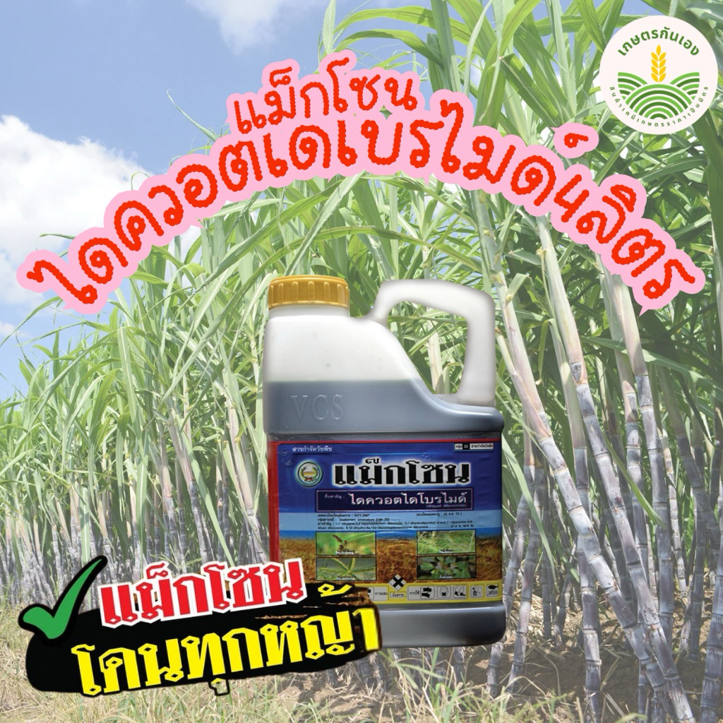 แม็กโซน ไดควอตโดโปรไมด์ 4ลิตร กำจัดวัชพืชแบบเผาไหม้