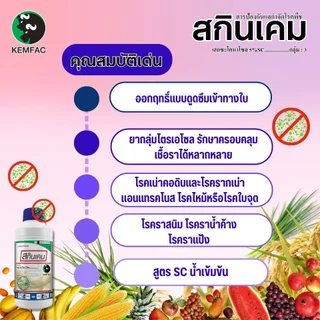 สกินเคม ขนาด1ลิตร สารเฮกซะโคนาโซล5% สารป้องกันและกำจัดโรคพืช ออกฤทธิ์ดูดซึมโรคกาบใบแห้ง โรคใบขีดสีน้ำตาล คุมโรคได้กว้าง